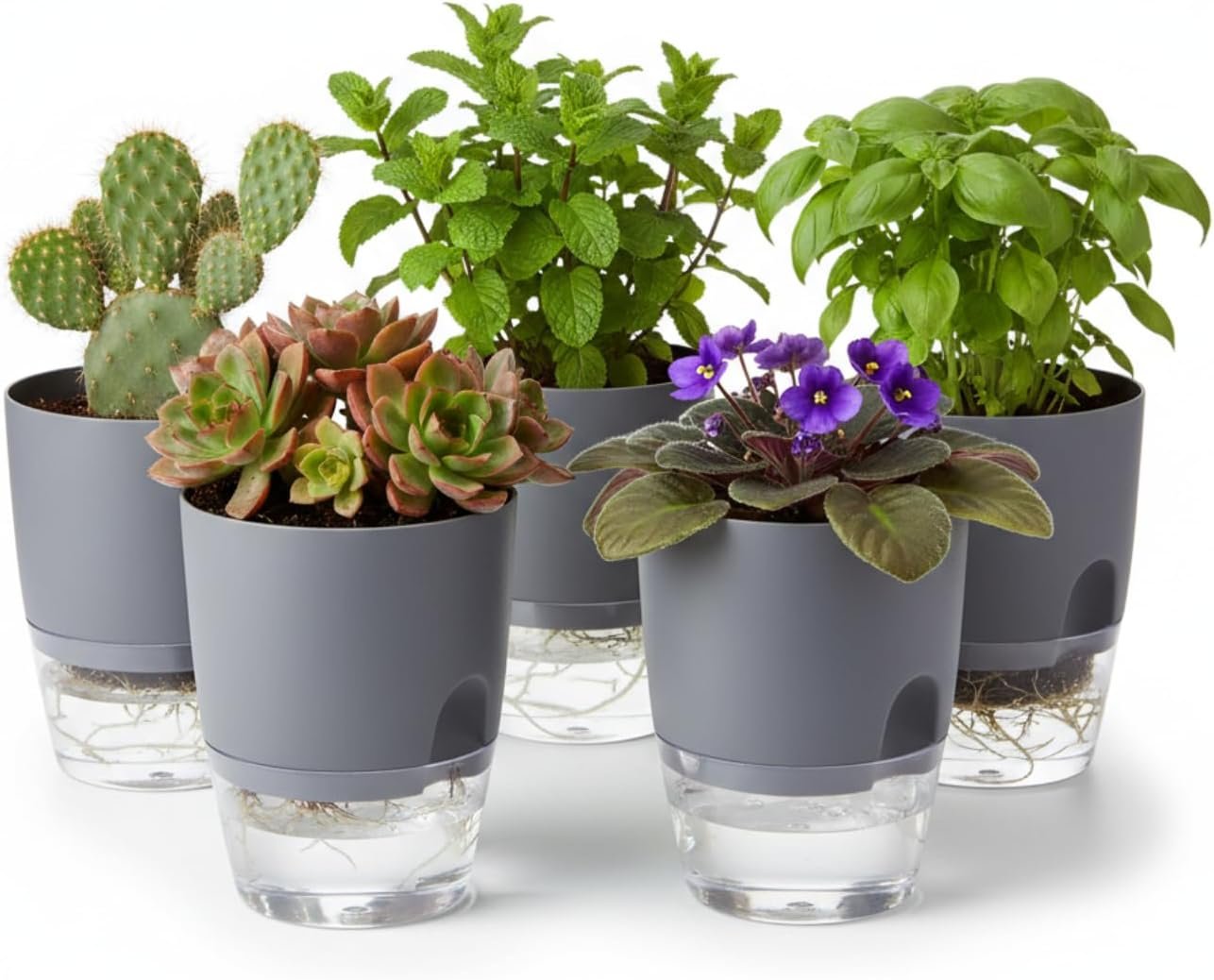 self watering pot grey